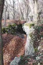 DSCF5294 (2).webp