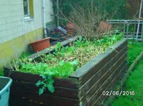 Hochbeet.webp