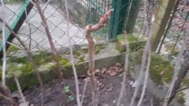 IMG-20160208-WA0000.webp