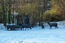 DSCF5214 (2).webp