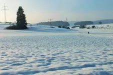 DSCF5255 (2).webp