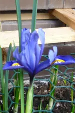 P1080446.webp