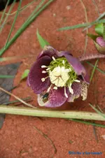 comp_DSC04596.webp