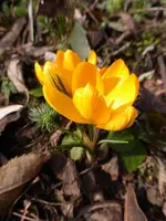 P1030105.webp