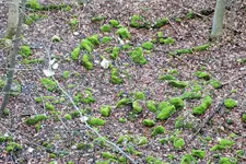 DSCF5312 (2).webp