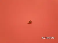 BILD5162.JPG