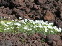 DSCN8639.webp