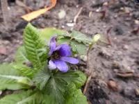 P1030147.webp
