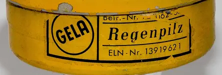 GELA-Regenpilz-2.webp