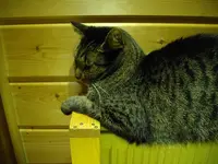 IMGP2452.webp