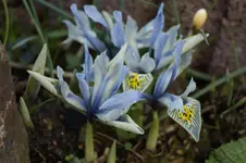 _DSC9984.webp