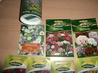 SAM_0729.webp