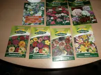 SAM_0730.webp