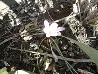 SAM_0732.webp