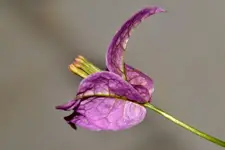 DSC_6717x.webp