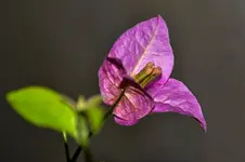 DSC_6722.webp
