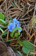 DSC_6509.webp