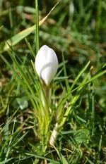 DSC_6510.webp