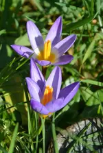 DSC_6513.webp