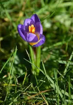 DSC_6514.webp