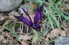 comp_DSC04619.webp
