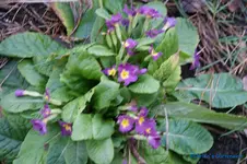 comp_DSC04620.webp