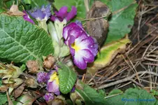 comp_DSC04622.webp