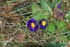 comp_DSC04623.webp