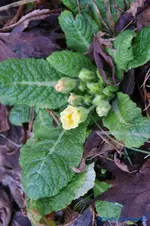 comp_DSC04626.webp