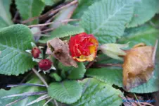 comp_DSC04628.webp