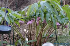 comp_DSC04630.webp