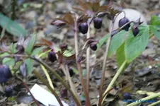 comp_DSC04632.webp