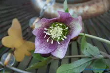 comp_DSC04633.webp