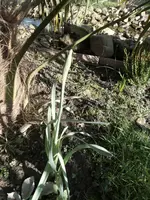 SAM_0744.webp