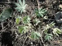 SAM_0749.webp
