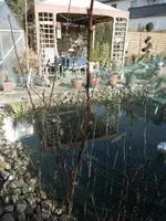 SAM_0751.webp
