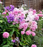 IMG_1473-001.webp
