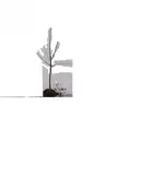 Kirschenach Schnitt1.webp