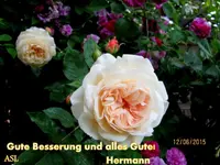 IMG_5123-002.webp