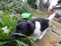 P1030443.webp