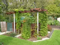 Pergola.webp