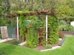 Pergola.jpg