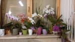 20160215_184610.jpg