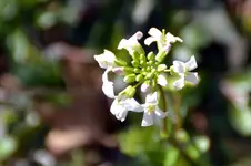 DSC_7649.webp
