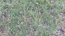 20160216_162049_resized_1.webp
