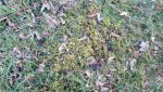 20160216_162055_resized_1.jpg 20160216_162055_resized_1.jpg