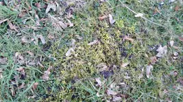 20160216_162055_resized_1.webp
