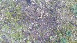 20160216_162108_resized_1.jpg 20160216_162108_resized_1.jpg