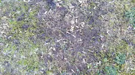 20160216_162108_resized_1.webp