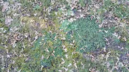 20160216_162116_resized_1.webp